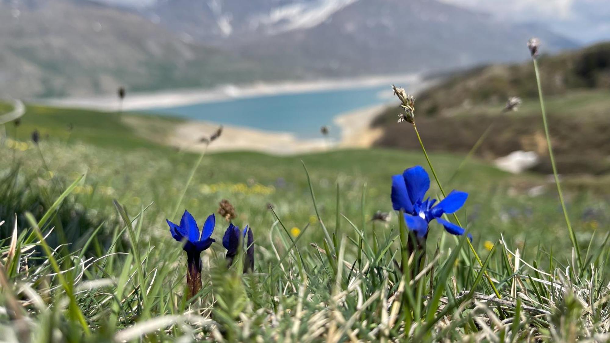 Aux Portes Du Parc National De La Vanoise Appartement Termignon Val Cenis Avec Wifi Exterior foto